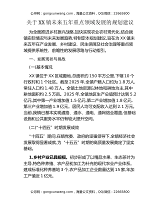 关于XX镇未来五年重点领域发展的规划建议（2）