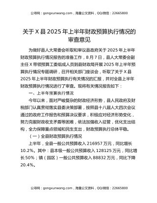 关于X县2025年上半年财政预算执行情况的审查意见