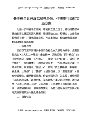 关于在全县开展党员亮身份、作表率行动的实施方案