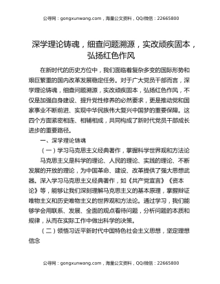 深学理论铸魂，细查问题溯源，实改顽疾固本，弘扬红色作风