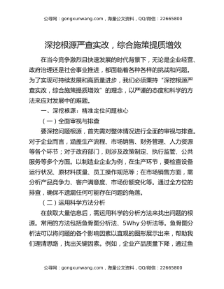 深挖根源严查实改，综合施策提质增效