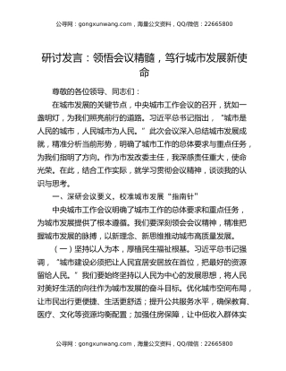 研讨发言：领悟会议精髓，笃行城市发展新使命
