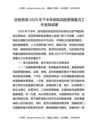 区税务局2025年下半年税收风险管理重点工作安排部署