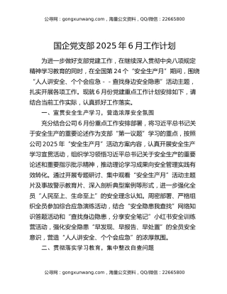 国企党支部2025年6月工作计划