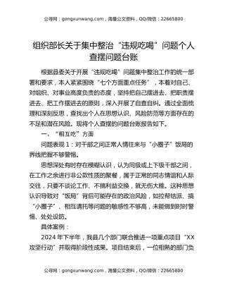 组织部长关于集中整治“违规吃喝”问题个人查摆问题台账