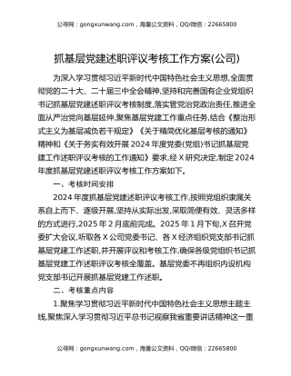 抓基层党建述职评议考核工作方案（公司）