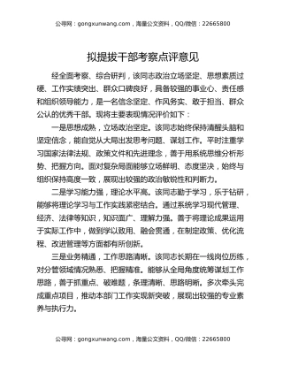 拟提拔干部考察点评意见