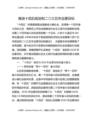 推进十四五规划和二〇三五年远景目标