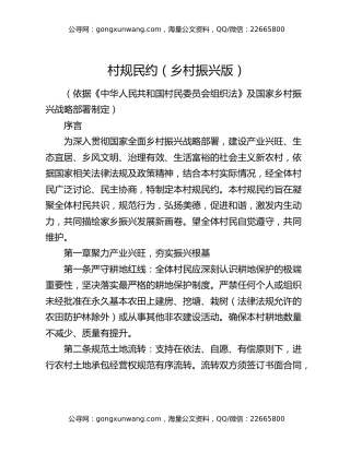 村规民约（乡村振兴版）