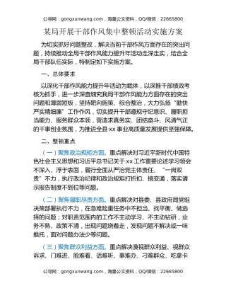 某局开展干部作风集中整顿活动实施方案