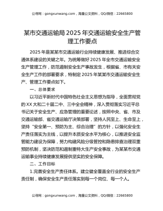 某市交通运输局2025年交通运输安全生产管理工作要点