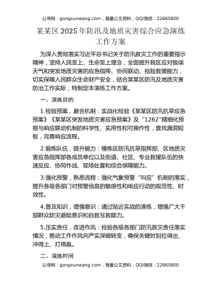 某某区2025年防汛及地质灾害综合应急演练工作方案