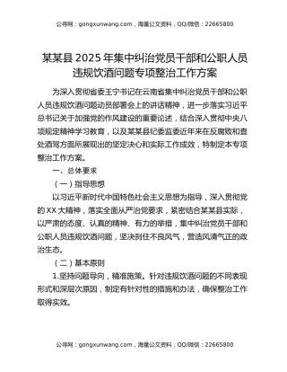 某某县2025年集中纠治党员干部和公职人员违规饮酒问题专项整治工作方案
