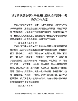 某某县纪委监委关于开展违规吃喝问题集中整治的工作方案