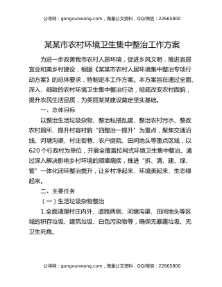 某某市农村环境卫生集中整治工作方案
