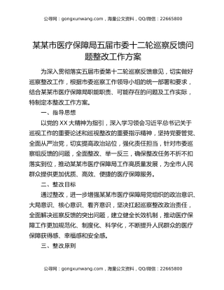 某某市医疗保障局五届市委十二轮巡察反馈问题整改工作方案