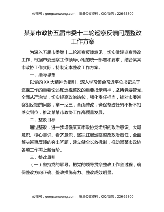 某某市政协五届市委十二轮巡察反馈问题整改工作方案