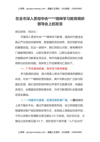 在全市深入贯彻中央八项规定精神学习教育调研督导会上的发言（2）