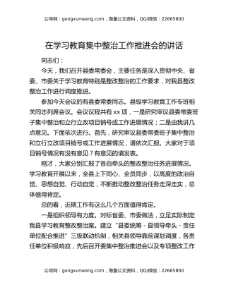 在八项规定精神学习教育集中整治工作推进会的讲话