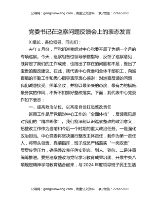 被巡察党委书记在政治巡察问题反馈会上的表态发言+巡察反馈意见的整改方案