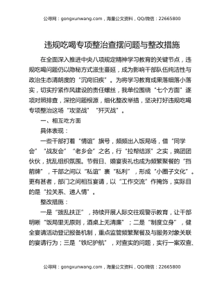 违规吃喝专项整治查摆问题与整改措施
