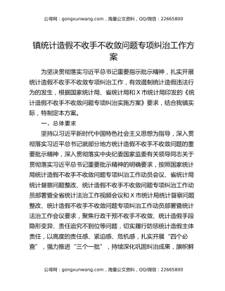 镇统计造假不收手不收敛问题专项纠治工作方案