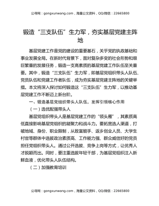 锻造“三支队伍”生力军，夯实基层党建主阵地