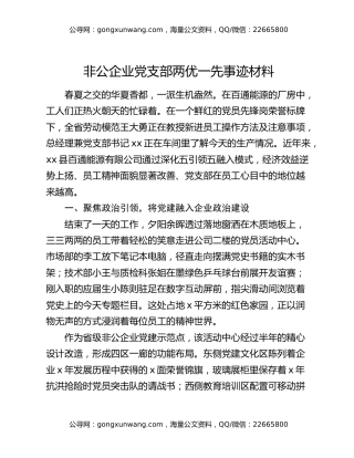 非公企业党支部两优一先事迹材料