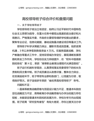 高校​领导班子综合评价和查摆问题