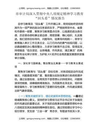 市审计局深入贯彻中央八项规定精神学习教育“回头看”情况报告 (2)