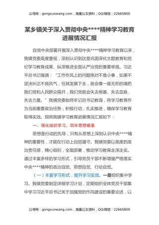 某乡镇关于深入贯彻中央八项规定精神学习教育进展情况汇报