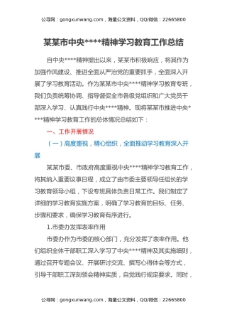 某某市中央八项规定精神学习教育工作总结