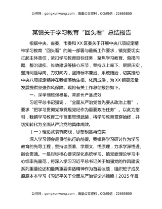 某镇关于八项规定精神学习教育“回头看”总结报告