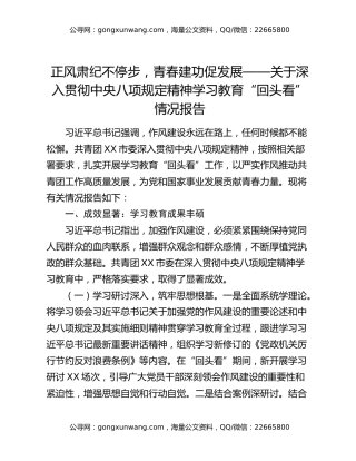 正风肃纪不停步，青春建功促发展——关于深入贯彻中央八项规定精神学习教育“回头看”情况报告