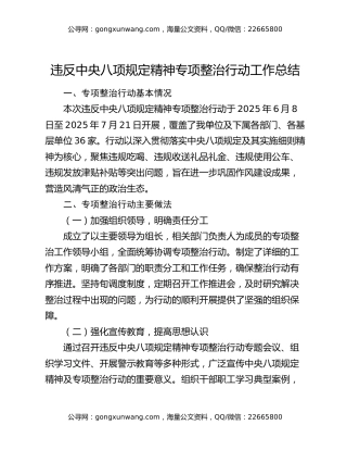违反中央八项规定精神专项整治行动工作总结