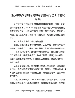 违反中央八项规定精神专项整治行动工作情况总结