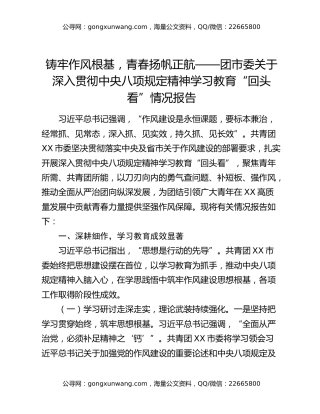 铸牢作风根基，青春扬帆正航——团市委关于深入贯彻中央八项规定精神学习教育“回头看”情况报告
