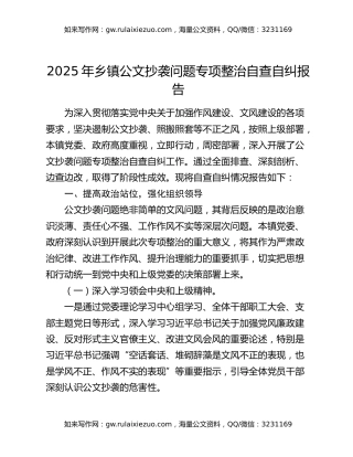 2025年乡镇公文抄袭问题专项整治自查自纠报告