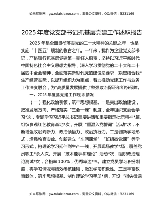2025年度党支部书记抓基层党建工作述职报告