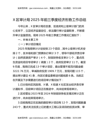 X区审计局2025年前三季度经济形势工作总结