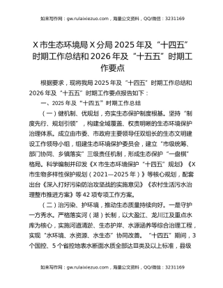X市生态环境局X分局2025年及“十四五”时期工作总结和2026年及“十五五”时期工作要点