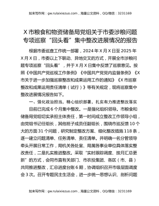 X市粮食和物资储备局党组关于市委涉粮问题专项巡察“回头看”集中整改进展情况的报告