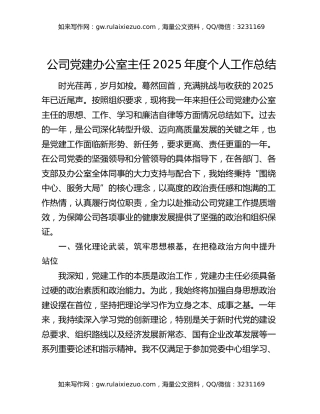 公司党建办公室主任2025年度个人工作总结