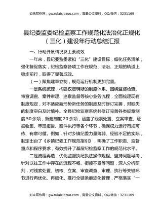 县纪委监委纪检监察工作规范化法治化正规化（三化）建设年行动总结汇报