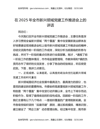 在2025年全市新兴领域党建工作推进会上的讲话