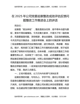 在2025年公司党委巡察整改成效评估反馈问题整改工作推进会上的讲话