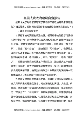 基层法院政治建设自查报告