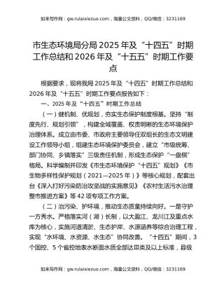 市生态环境局分局2025年及“十四五”时期工作总结和2026年及“十五五”时期工作要点