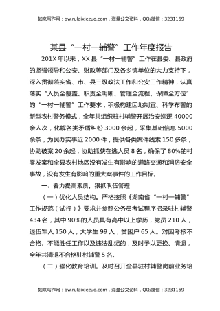 某县“一村一辅警”工作年度报告