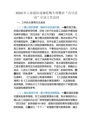 2024年工业园区违规吃喝专项整治“百日活动”行动工作总结（2）